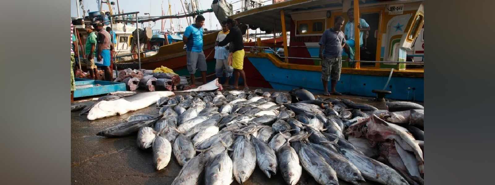 ධීවර කේෂ්ත්‍රයේ සිදුවී ඇති හානිතක්සේරුවට කමිටුවක්